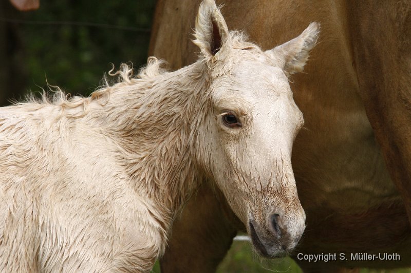 Hjoerdis 28 Min alt (5).JPG